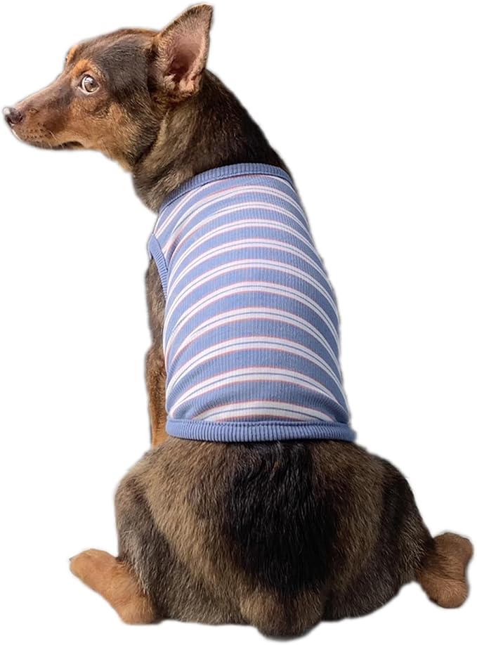 YQYS Dog Shirts Multi-Color Striped Cotton Vest for Small Dogs and Cats Puppy Clothes Teacup Dog Clothing Tank Top for Chihuahua Miniature Pinscher Blue Large