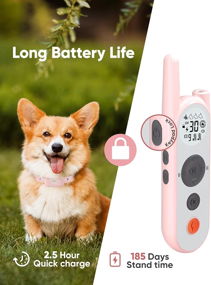 Wireless Dog Fence System for 2 Dogs 856 2 in 1 Waterproof 2 Collars