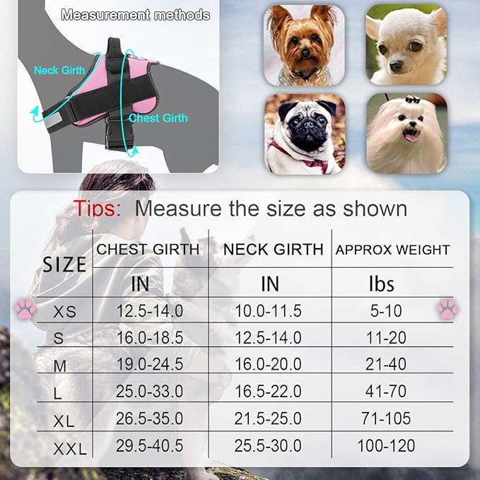 Bolux Dog Harness