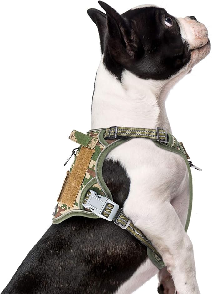 BUMBIN Tactical Dog Harness for Small Dogs No Pull