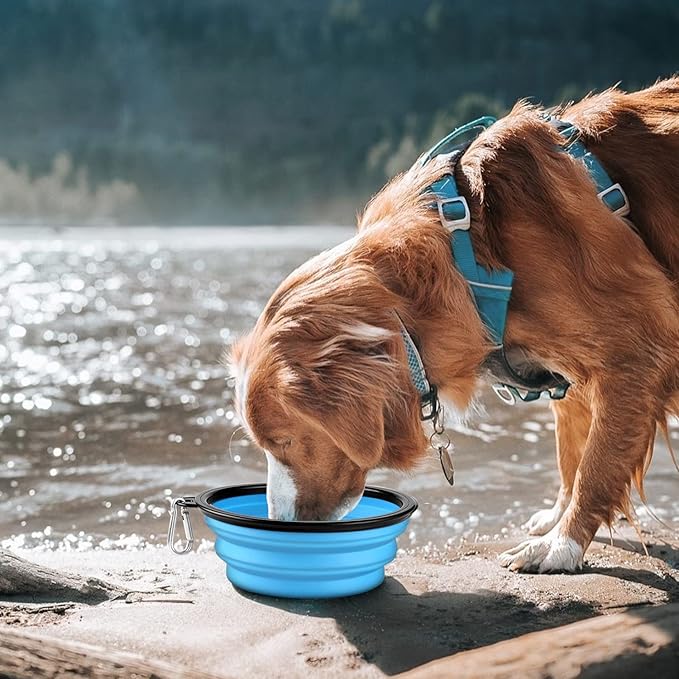 COOYOO Collapsible Dog Bowl 2 Pack 2 Carabiners