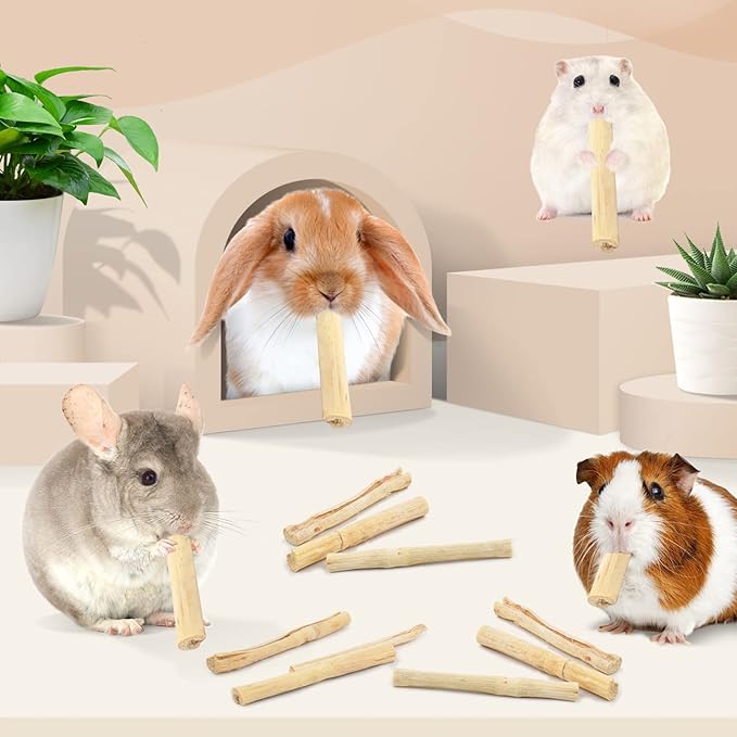 Bissap 145g/0.3Ib Sweet Bamboo Chew Sticks for Rabbits