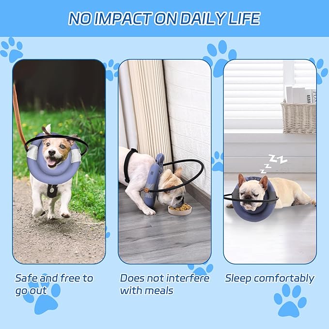 Blind Dog Halo