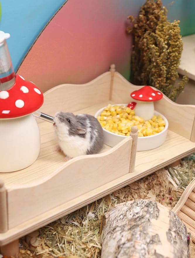 Niteangel Hamster Snack & Treats Toy