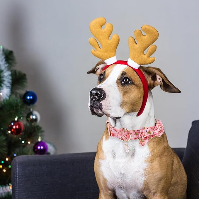 Faygarsle Pink Dog Collar Christmas Design with Bow
