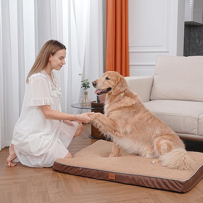 Orthopedic Dog Bed for Large Dogs Removable Bolsters & Washable Cover 35 lbs