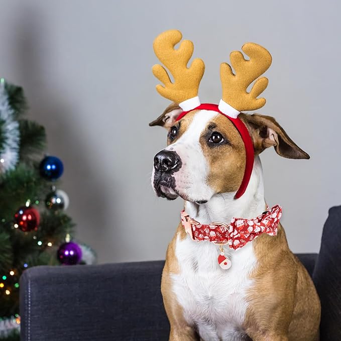 Faygarsle Red Dog Collar Christmas Design with Bow