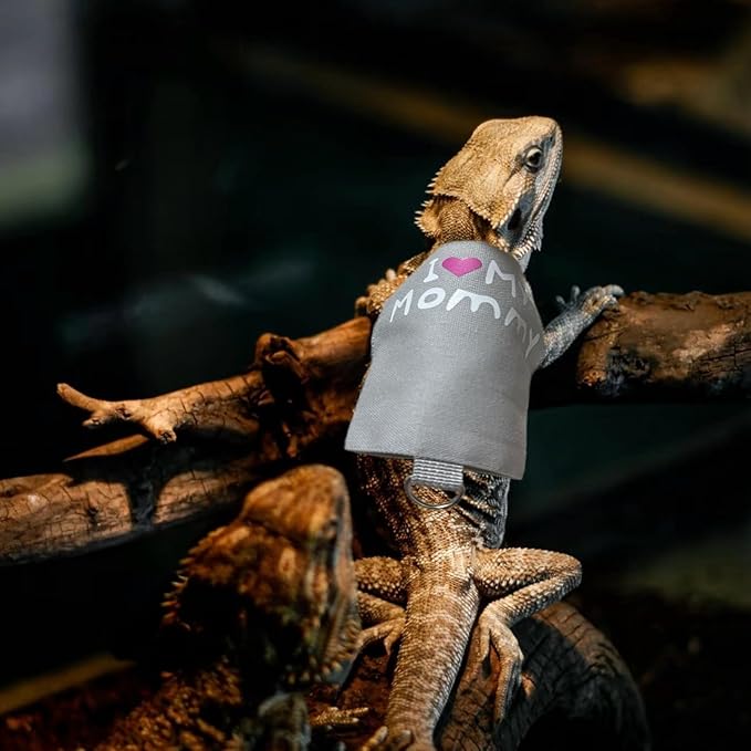 Bearded Dragon Leash and Harness Adjustable