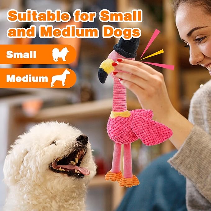 Squeaky Dog Toys