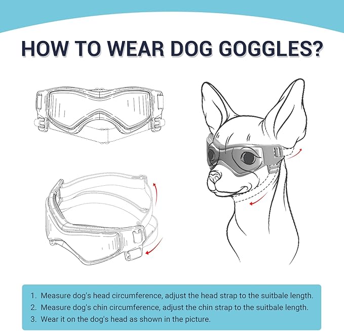Cool Dog Goggles Small Breed