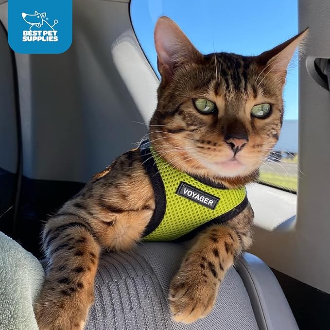 Voyager Step-in Air Cat Harness 9.5-10.5")