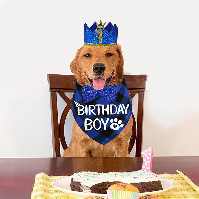 STMK Dog Birthday Party Supplies