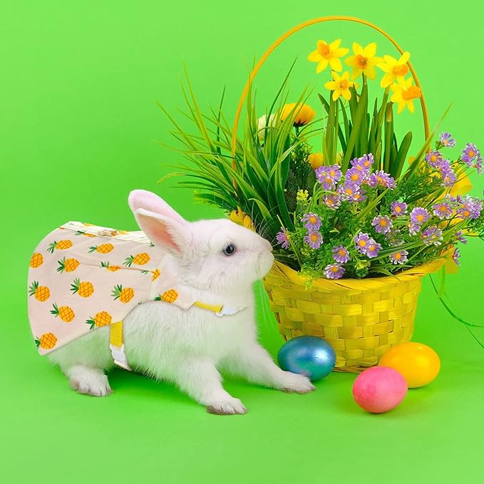 3 Piece Cute Rabbit Leash and Harness Set