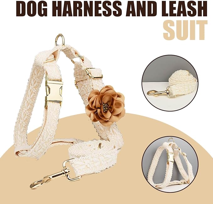 Female Dog Harness Leash Set for Large Dogs Cute Girl Dog Harness Soft Leather No Pull Dog Harness with Comfortable Padded Handle for Dog Wedding Birthday Outfit Easy Walking (White