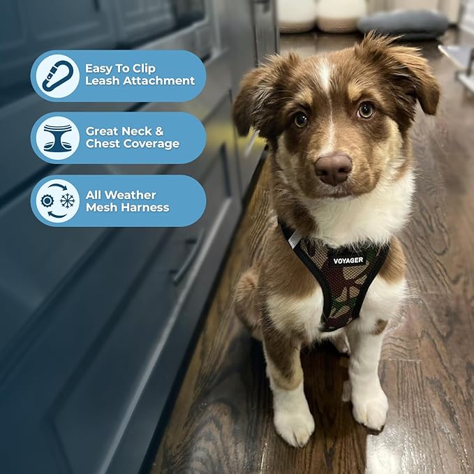 Voyager Step-in Air Dog Harness 16-18")