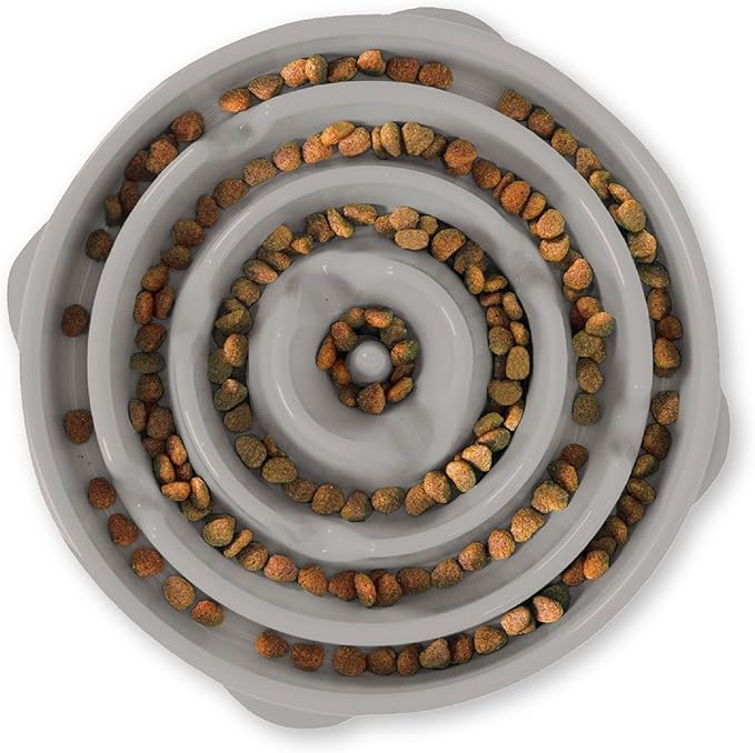 Outward Hound Fun Feeder Slo Bowl