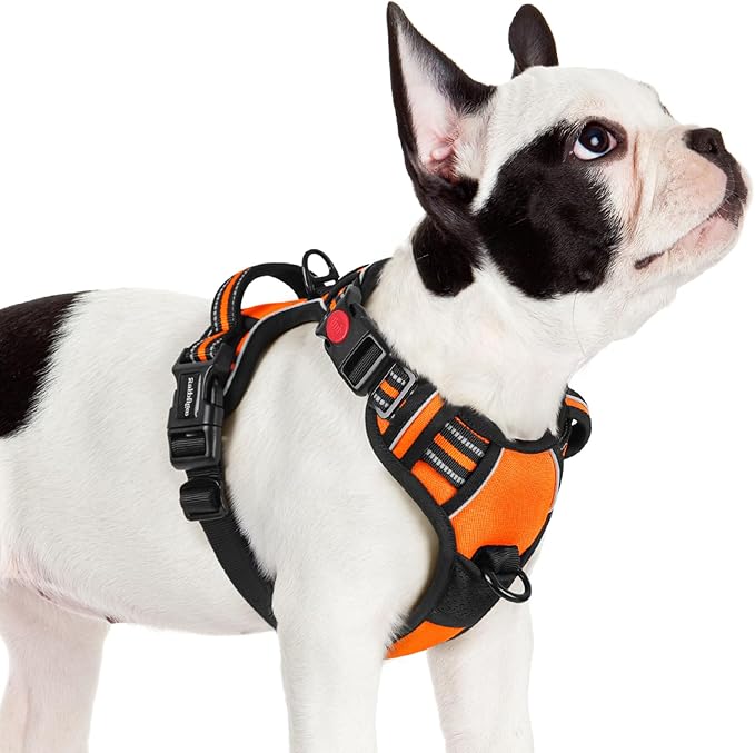 rabbitgoo Dog Harness Small Sized 3 Buckles,