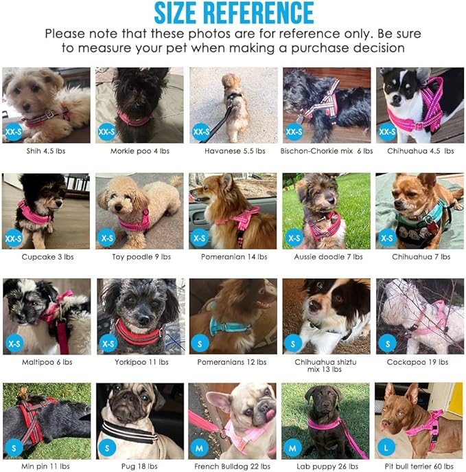 Lukovee Soft Padded Small Dog Harness (X-Small 4ft Lightweight