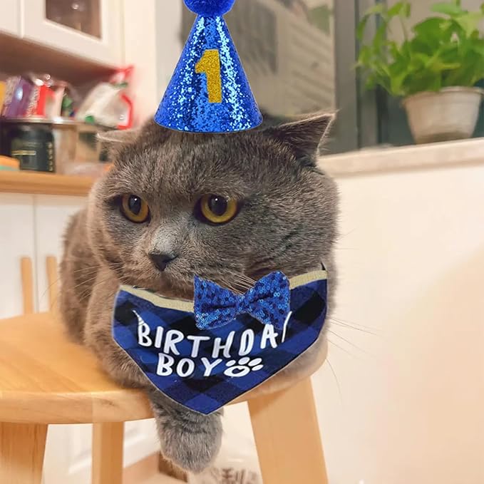 Cat Birthday Party Supplies Cat Kitten Bandanas,Cat Birthday Hat,Cat Birthday Number,Cat Birthday Banner,Cat Bowtie, 8 Letter Balloons,Birthday Outfit for Cat Kitten,cat Birthday Decoration..