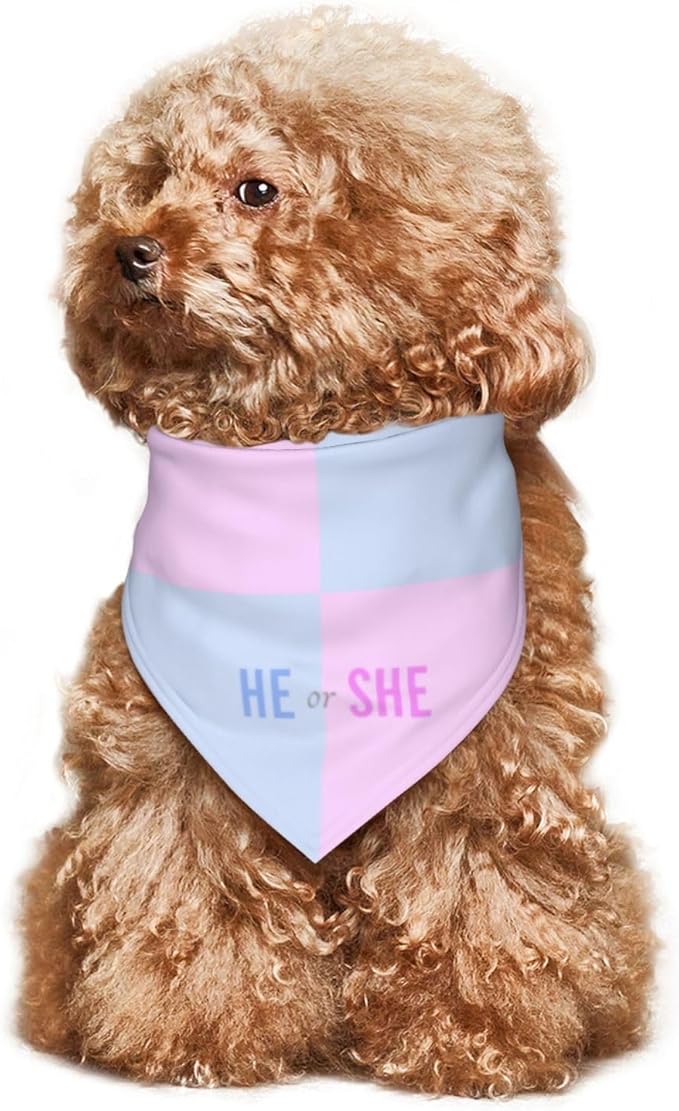 He Or She What Will It Be? Gender Reveal/Baby Announcement Dog Bandana,Pet Neckerchief for Pets Daily Wear Photo Prop Party Supplies (Pink Blue Grid)