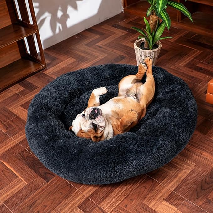 Geizire Dog Bed for Small and Medium Dogs