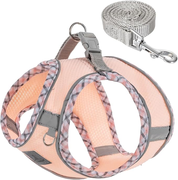 Dog Harness and Leash Set