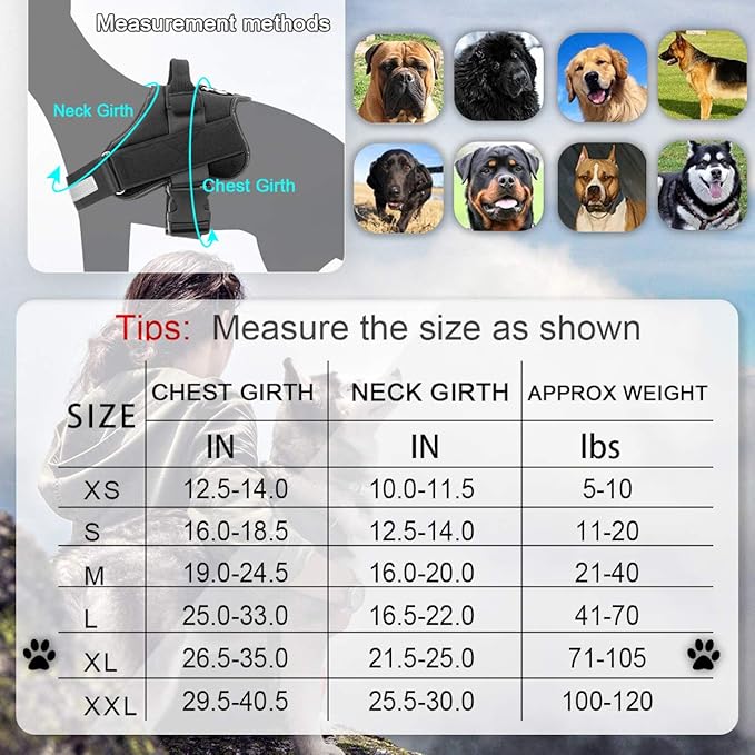 Bolux Dog Harness