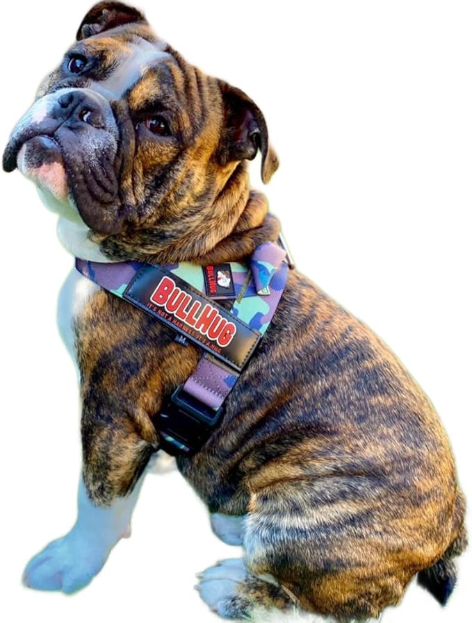 BULLHUG Harness – Made for Larger Chested Dogs Like English Bulldogs
