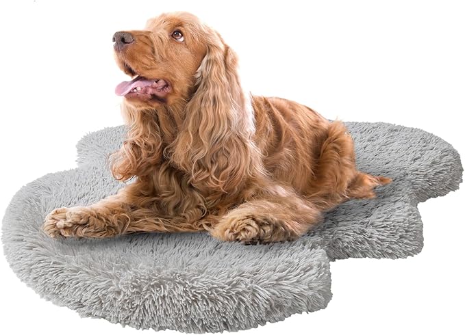 Friends Forever Faux Fur Pet Bed 40x30