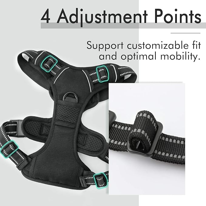 rabbitgoo Dog Harness 2 Leash