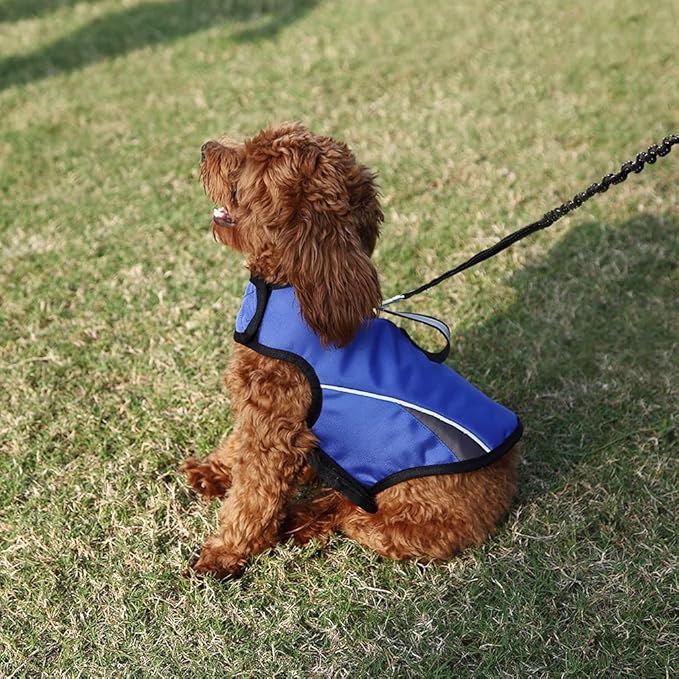 Dog Anxiety Jacket Keep Calming Vest Thunder Coat