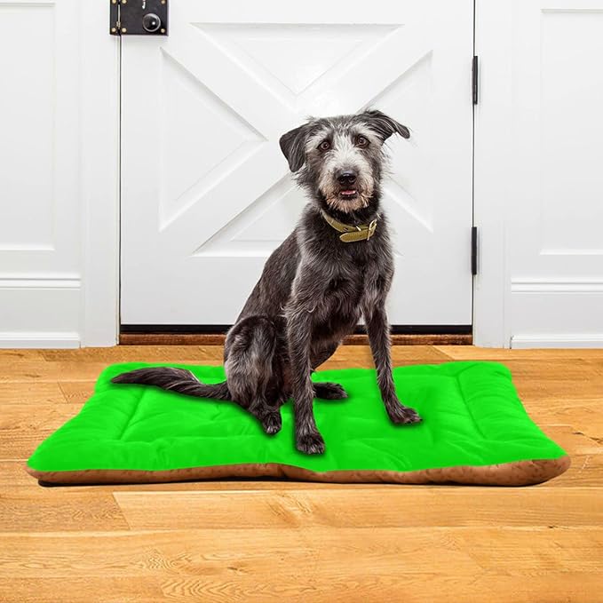 Plain Neon Green Solid Color Pet Bed Pad Soft Dog Bed Mat with Anti-Slip Bottom 18'' x 24''