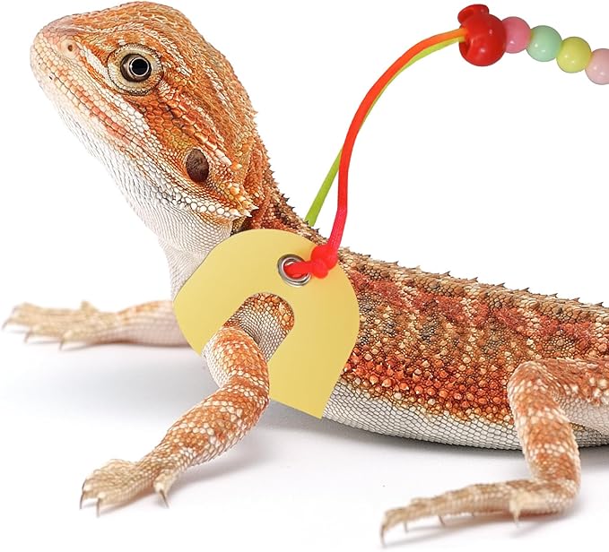 Bearded Dragon Leash & Harness 3 Size