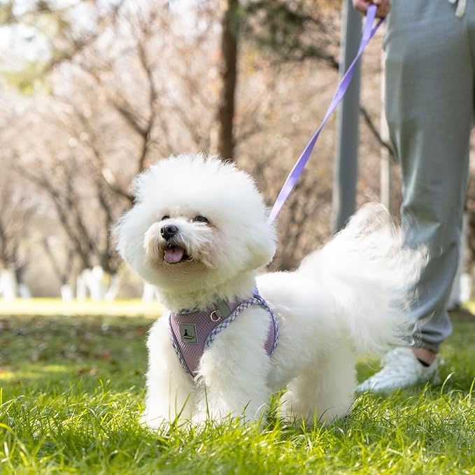 Dog Harness and Leash Set
