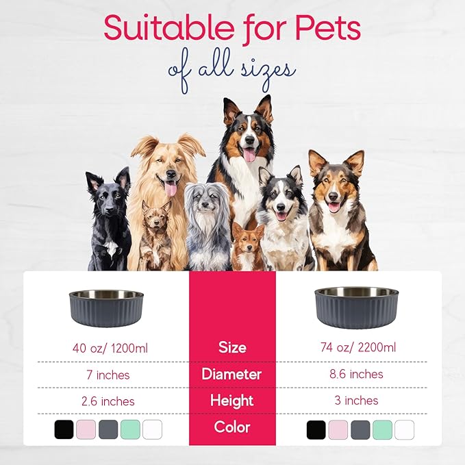 Stainless Steel Pet Bowl 74 Oz/2200ml)