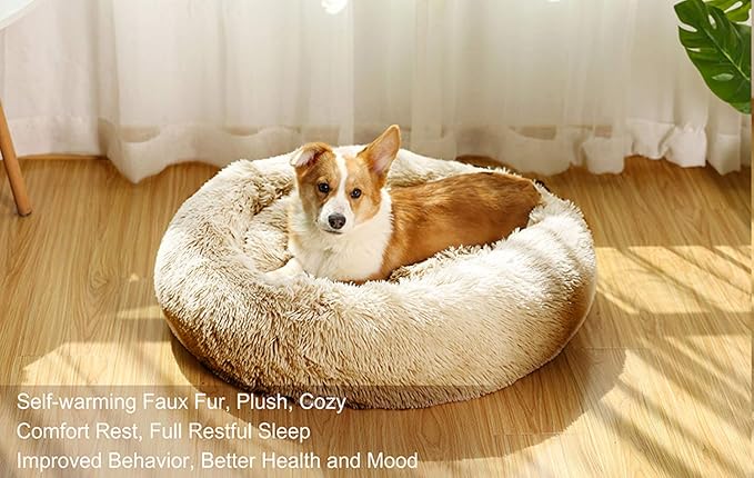 Donut Dog Beds for Medium Dogs