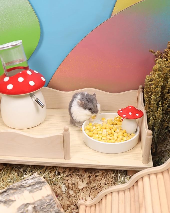 Niteangel Hamster Snack & Treats Toy