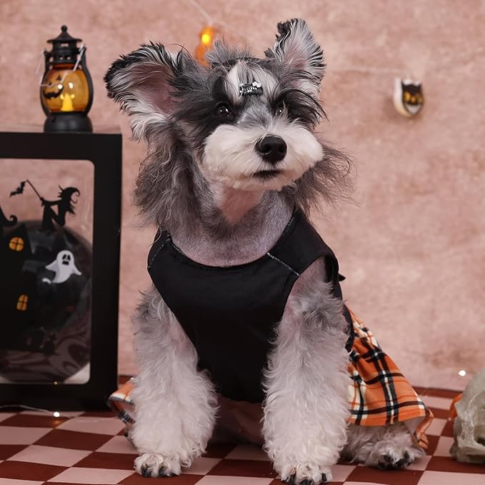 CuteBone Halloween Dog Dresses Velvet Holiday Small Dogs CVA45L-D