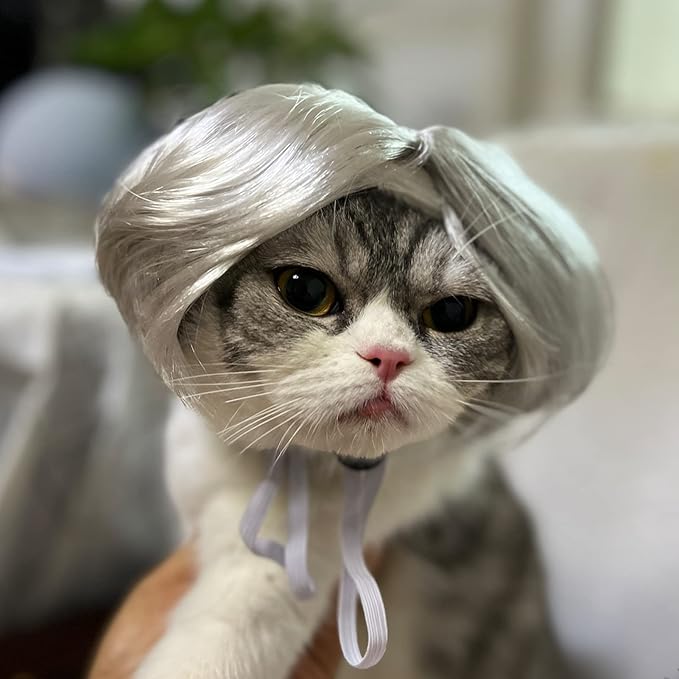 Funny Dog Cat Cosplay Wig