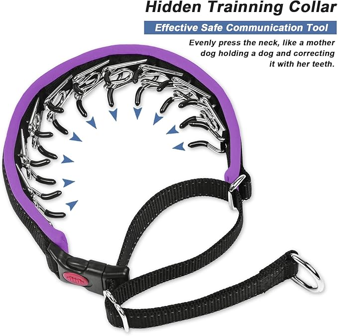 Martingale Collar for Dogs
