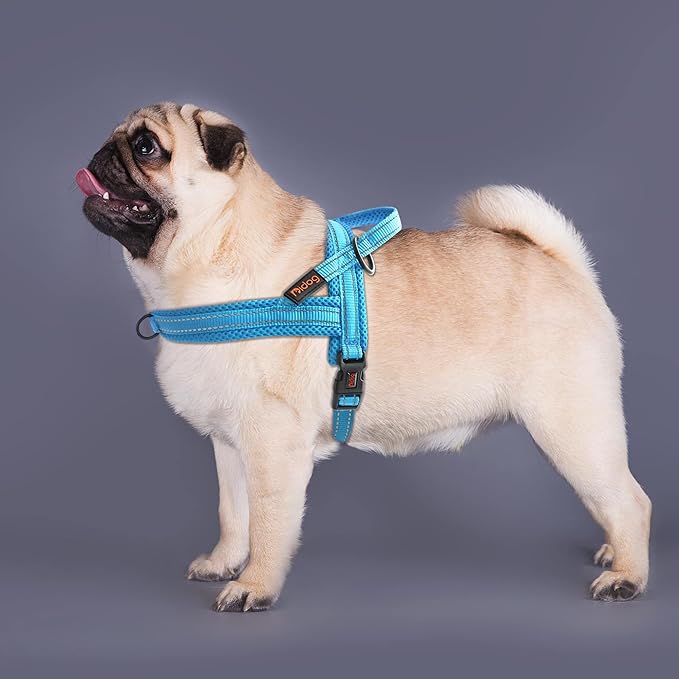 Didog Soft Mesh Padded Dog Vest Harness 21-26", Mesh-Blue)