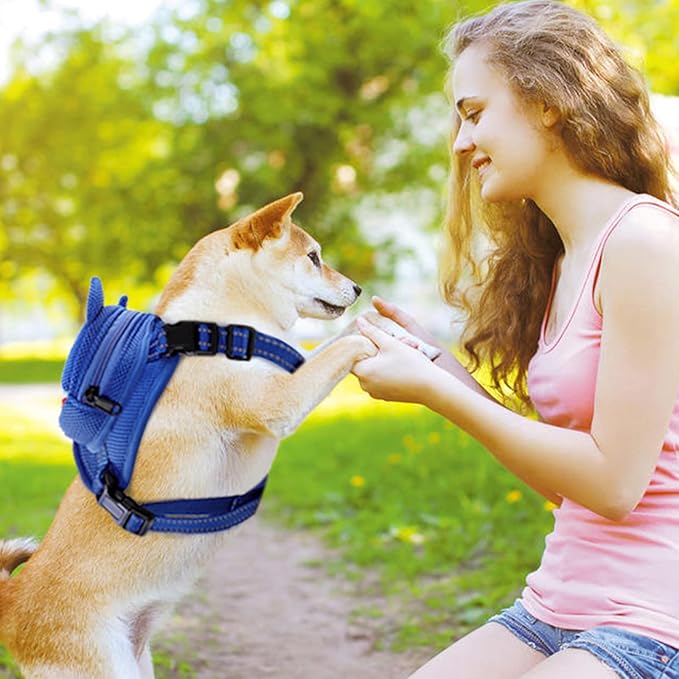 Dog Harness Backpack Cute Doggie Backpack Carrier for Small Medium Dogs