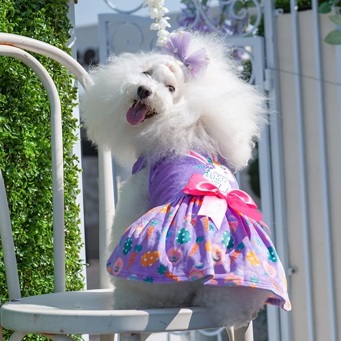 CuteBone White Rabbit Dog Easter Dress Velvet for Small Dogs Girl Eggs Skirt Puppy Purple Dresses Dog Clothes CVA19XS-D