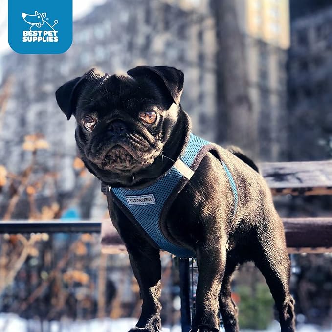 Voyager Step-in Air Dog Harness 14.5-16")