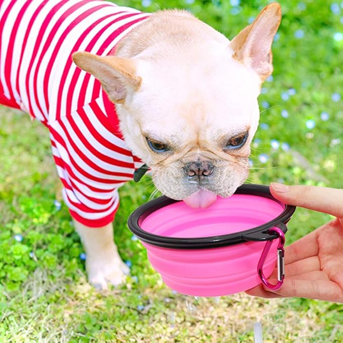 SLSON Collapsible Dog Bowls 2 Pack,