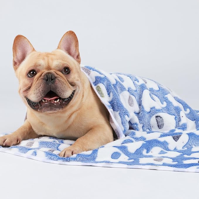 1 Pack 3 Blankets Super Soft Fluffy Premium Medium(30x20 inch)