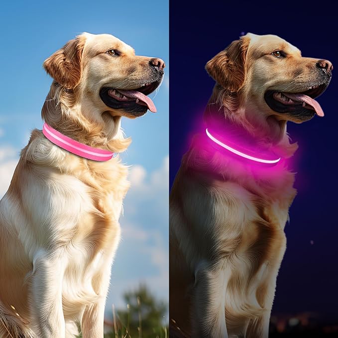 Led Dog Collar for Night Walking