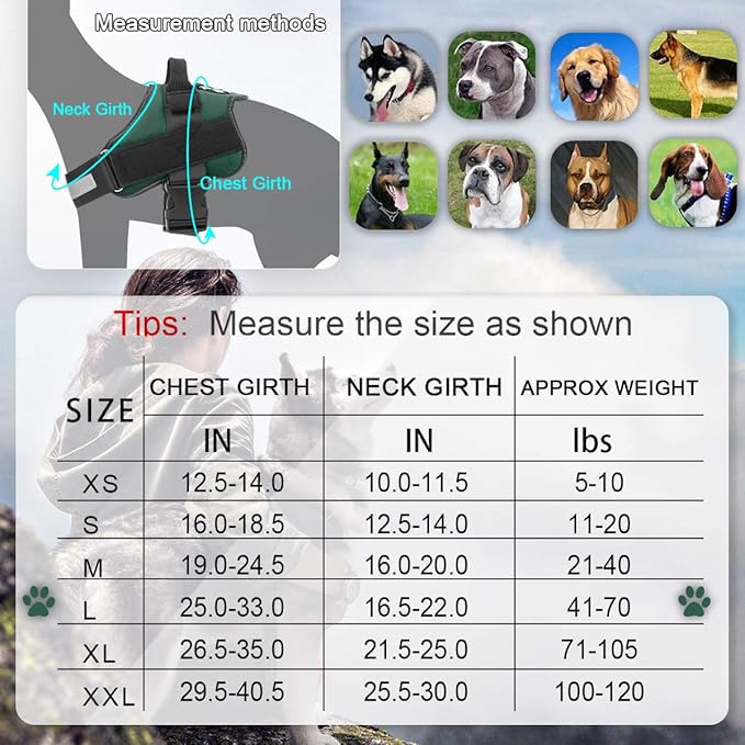Bolux Dog Harness