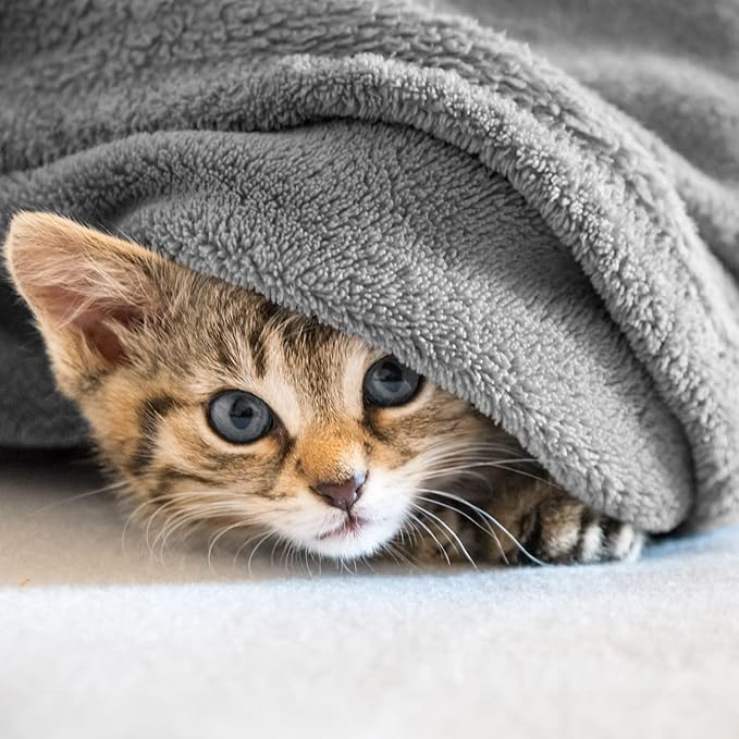 Veehoo Fluffy Fleece Dog Blanket 30x25 inch