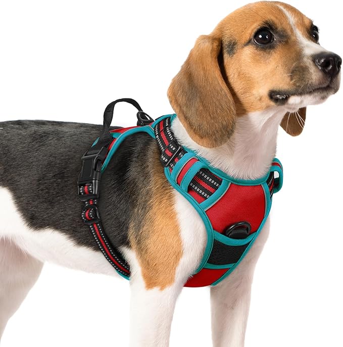 rabbitgoo Dog Harness 2 Leash